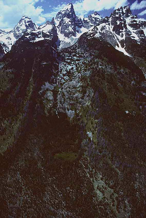Wyt-0015