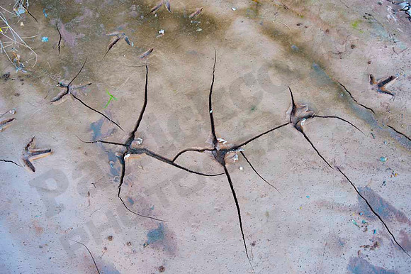 Mud-0013