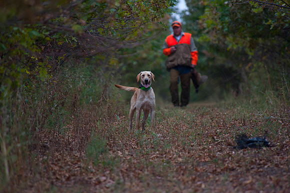 Pheasant Hunt